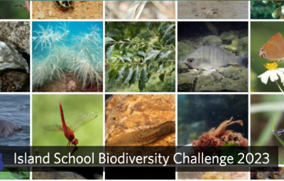 City Nature Challenge x Biodiversity Week