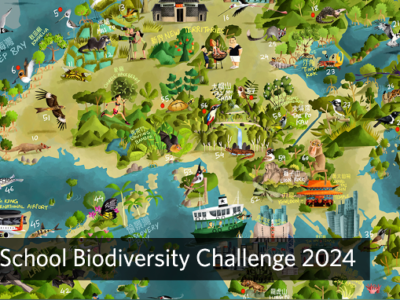 Island School Biodiversity Challenge 2024